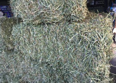 Hay - Produce for Toowoomba and Dalby 02